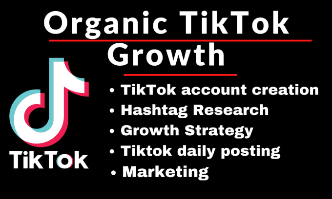 Gig Preview - Professionally grow your tiktok account organically