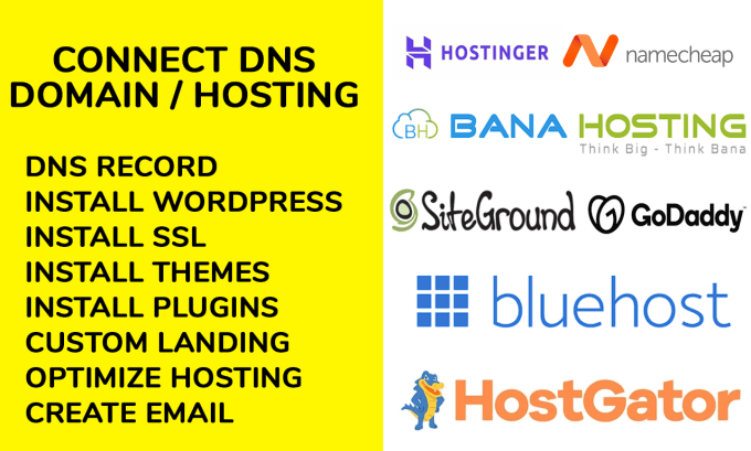 Gig Preview - Set up dns domain to hosting install wordpress with free SSL