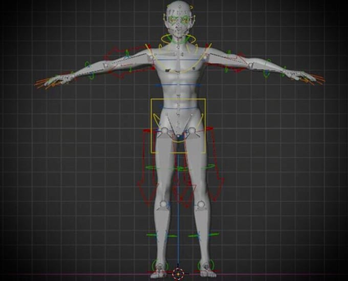 Gig Preview - Professional 3d blender rigging services, rigging, rigify rigging, modeling