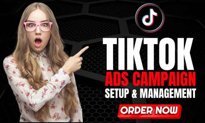 Gig Preview - Run tik tok ads, tik tok ads manager, and tiktok marketing