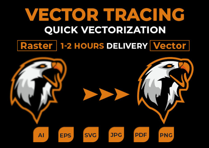 Gig Preview - Vector tracing or convert to vector in just 2 to 3 hours high quality