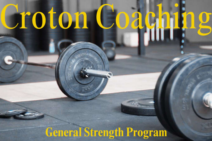 Gig Preview - Give you my professional strength training program