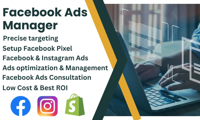 Gig Preview - Do ads management , facebook and instagram ads