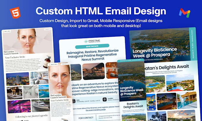 Gig Preview - Design custom HTML email template and import it on gmail