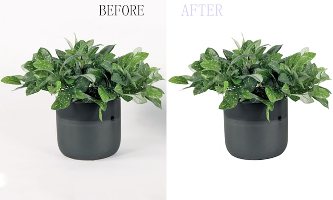 Gig Preview - Best photo background removal and clipping path service