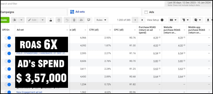 Gig Preview - Manage your facebook ads with guranteed results