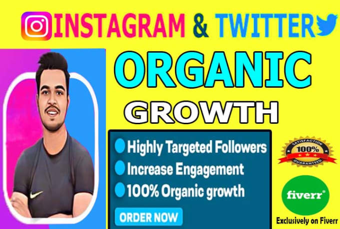 Gig Preview - Do organically instagram marketing and twitter marketing, instagram growth