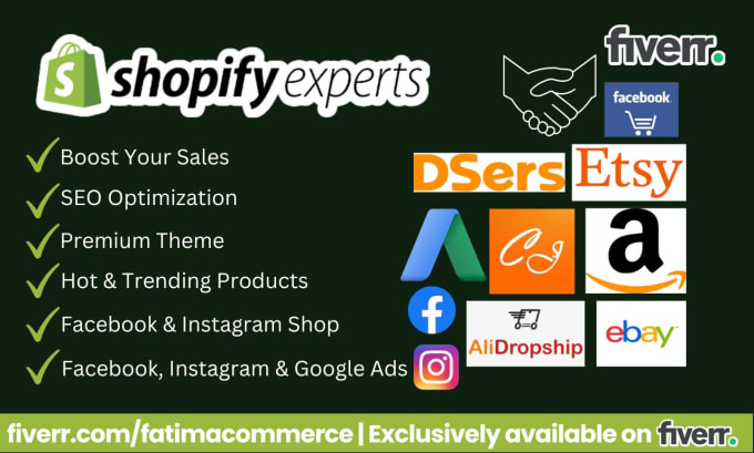 Gig Preview - Design a professional shopify dropshipping store