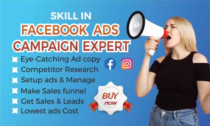 Gig Preview - Setup facebook ads campaign and manage fb ads campaign