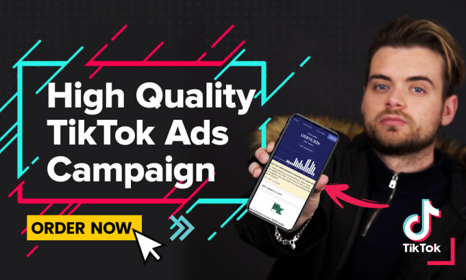 Gig Preview - Setup and launch tiktok ads marketing campaigns and manager