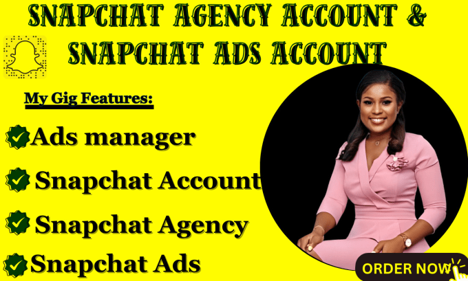 Gig Preview - Do snapchat agency account, snapchat ads, snapchat shows portal, ads manager