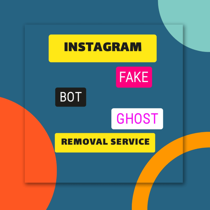 Gig Preview - Remove all ghost and fake followers from your instagram