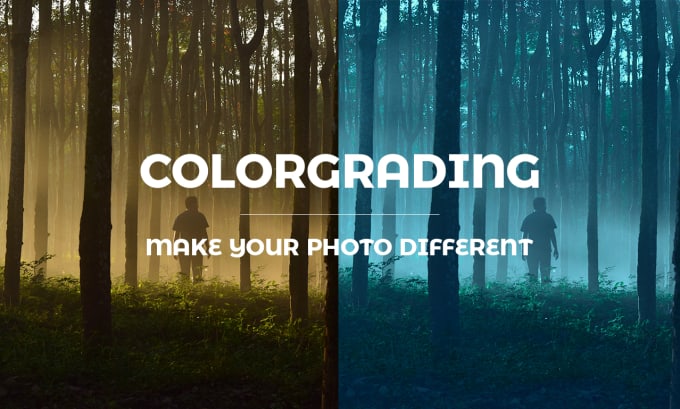 Gig Preview - Do color grading and color correction to your images