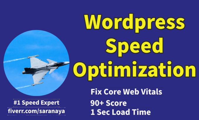 Gig Preview - Speed up wordpress website for google pagespeed insights