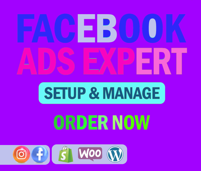 Gig Preview - Be your facebook and instagram ads manager