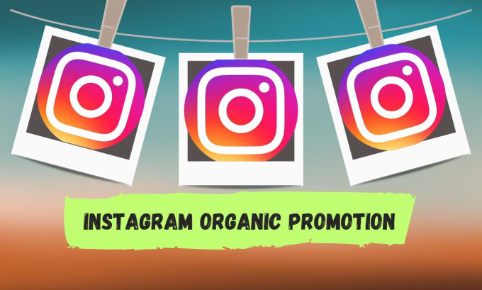 Gig Preview - Do instagram organic promotion and marketing