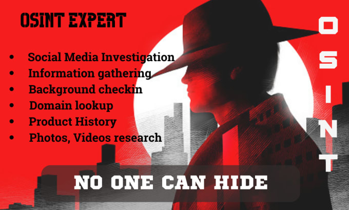 Gig Preview - Be your private osint investigator on your target