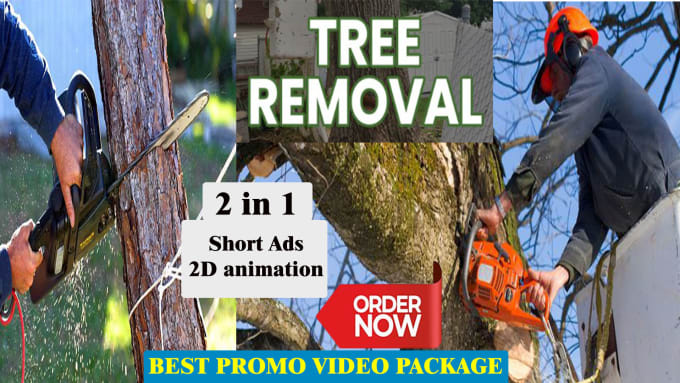 Gig Preview - Create tree removal video or veteran tree management video