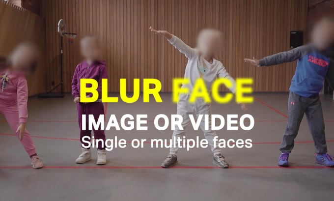 Gig Preview - Blur out any face in your video with perfection