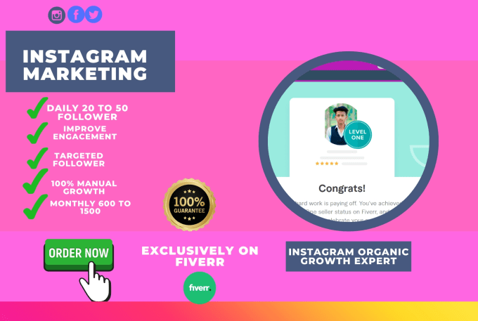 Gig Preview - Instagram marketing for fast organic growth and engagement