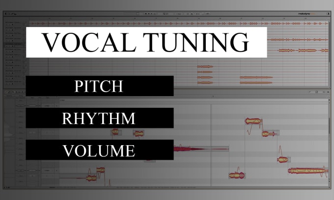 Gig Preview - Tune your vocal track