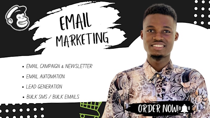 Gig Preview - Design mailchimp newsletter template bulk email blast campaign automation