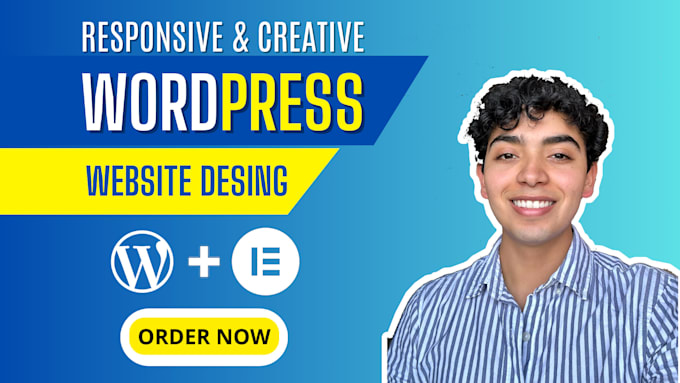 Gig Preview - Design a professional wordpress website or web design