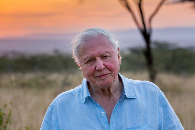 Gig Preview - Record a fantastic impression of sir david attenborough for any script