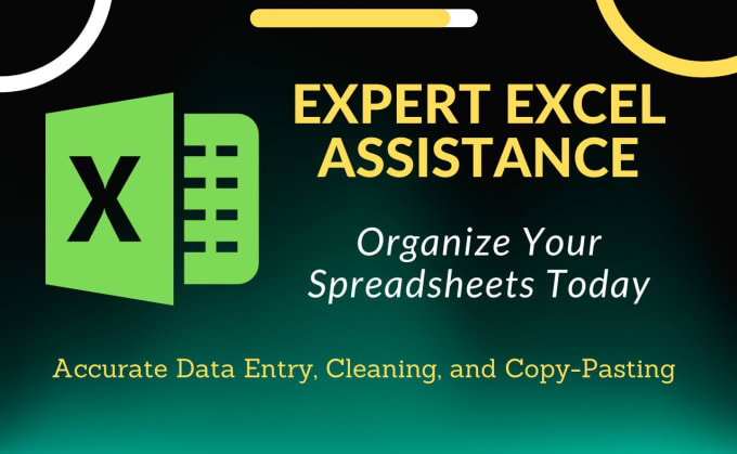 Gig Preview - Be efficient excel assistance with data entry, data cleaning, copy past