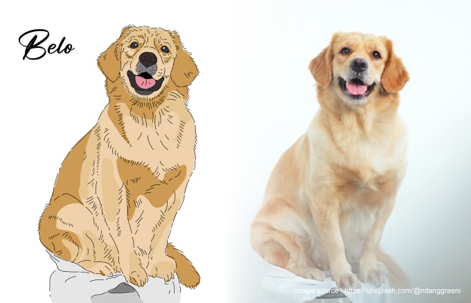 Gig Preview - Draw a cute vector cartoon for your pet