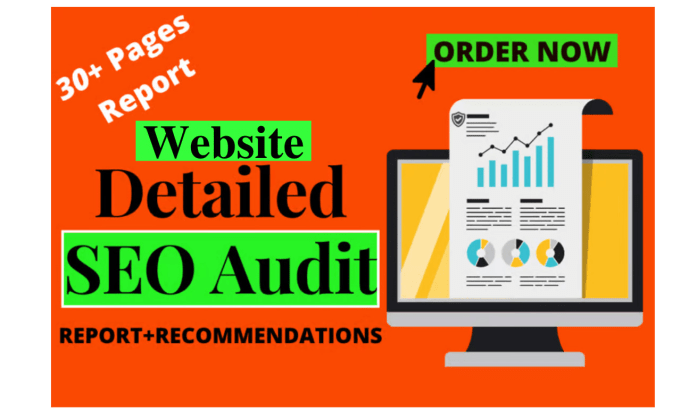 Gig Preview - Do technical SEO audits report fix website bugs