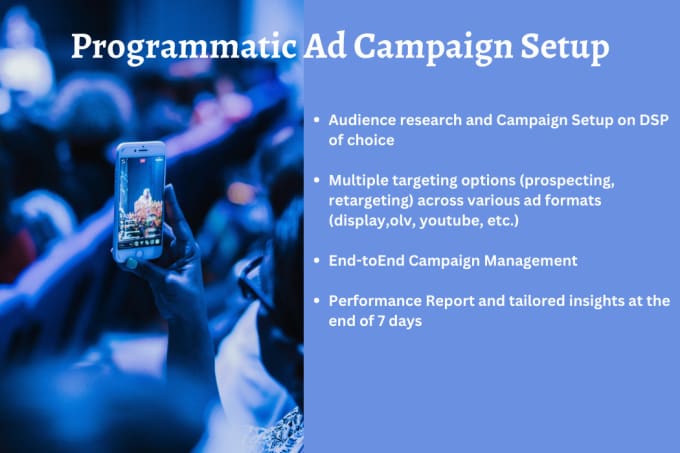 Gig Preview - Setup and manage effective programmatic campaigns