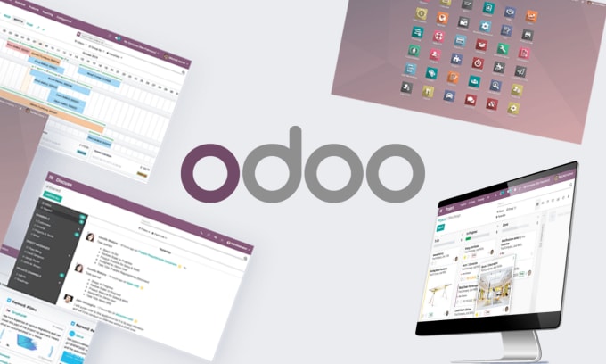 Gig Preview - Do consulting and dev of business moduls in odoo, w or wo license, problem sol