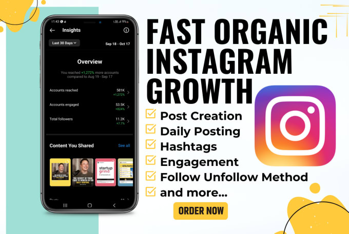 Gig Preview - Do fast organic instagram growth