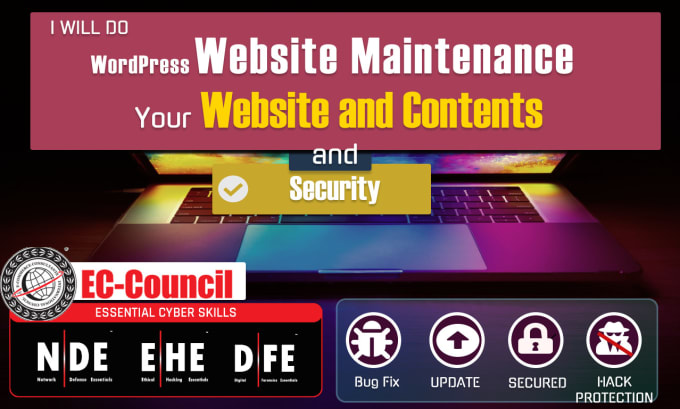 Gig Preview - Do wordpress website maintenance update bug fix security monthly