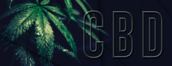 Gig Preview - Write blog posts and articles on cannabis, cbd and hemp