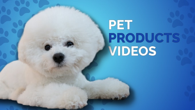 Gig Preview - Shoot a video of your pet product with bishon dog