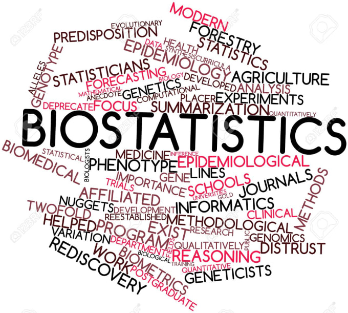 Gig Preview - Do biostatistics using r, spss, excel, nvivo