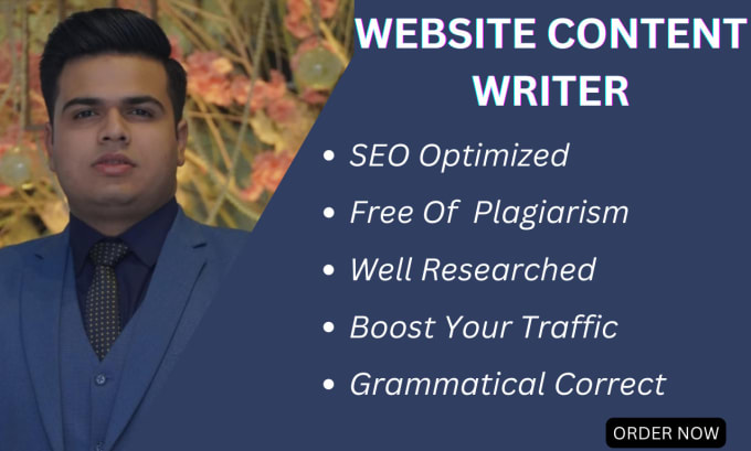 Gig Preview - Write content for your website