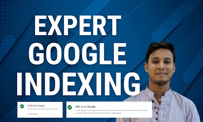 Gig Preview - Fix search console indexing issues and improve google visibility