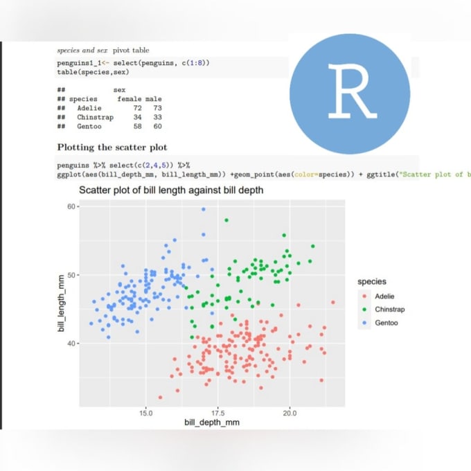 Gig Preview - Do data analysis and projects in r programming and python language