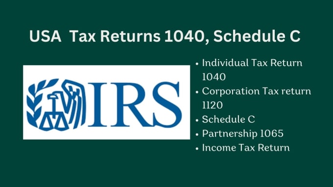 Gig Preview - Prepare individual or business income tax return 1040, schedule c