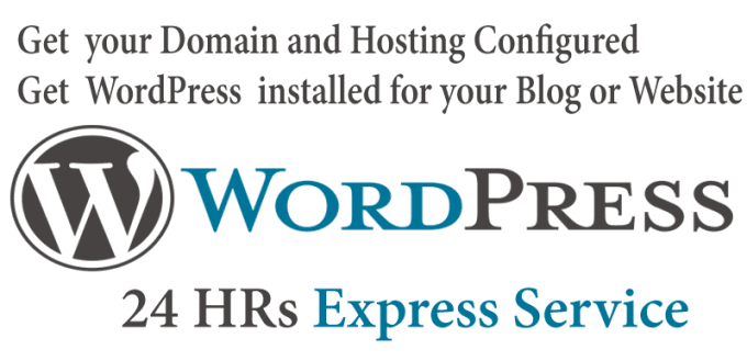 Gig Preview - Configure your domain and install wordpress in 24hrs