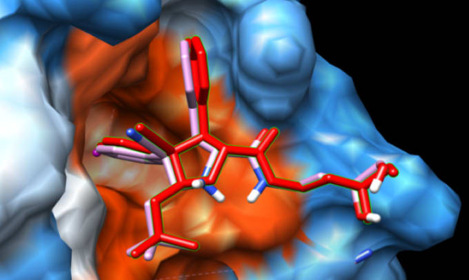 Gig Preview - Do your docking for your small molecules