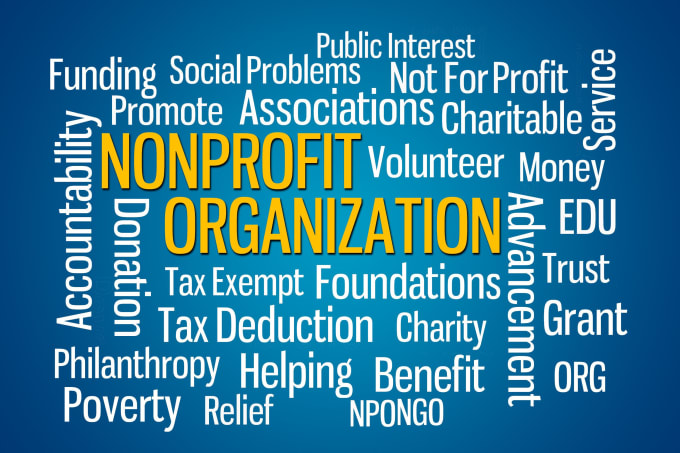 Gig Preview - Provide you nonprofit consultation