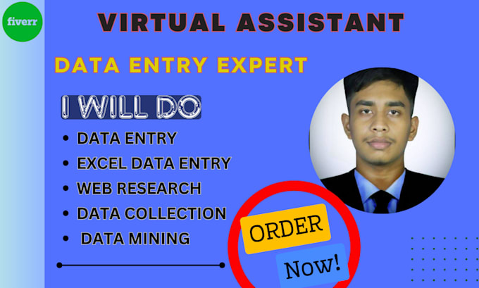 Gig Preview - Be your virtual assistant for data entry, data mining,  web research data typing