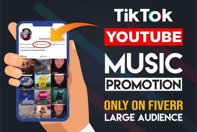 Gig Preview - Promote your artist youtube channel to our tiktok