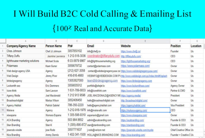 Gig Preview - Build a targeted b2b cold calling list and cold emailing list