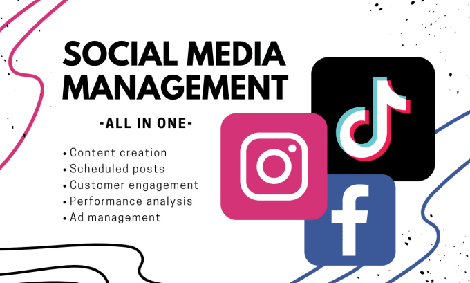 Gig Preview - Manage your social media