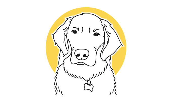 Gig Preview - Draw your pet or dog in flat line illustration